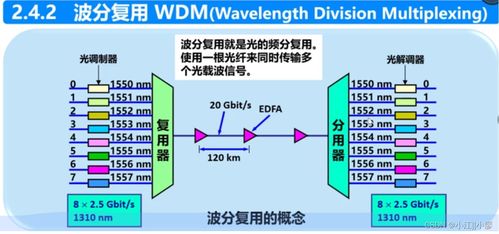 計算機網(wǎng)絡技術開發(fā)綜述